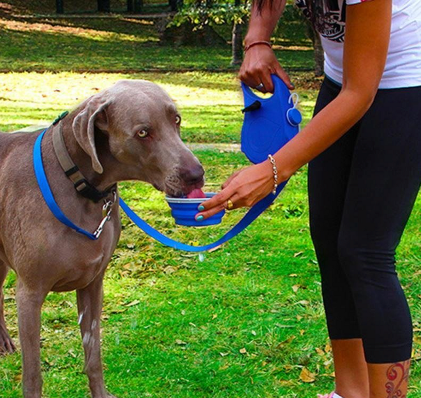 HydroLead™ Water Bottle Leash