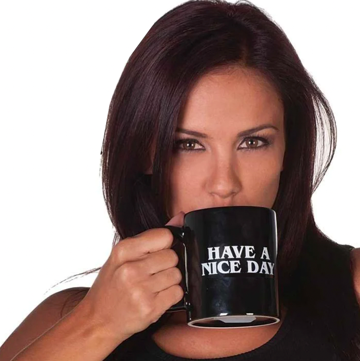 Have a Flipping Nice Day Mug™